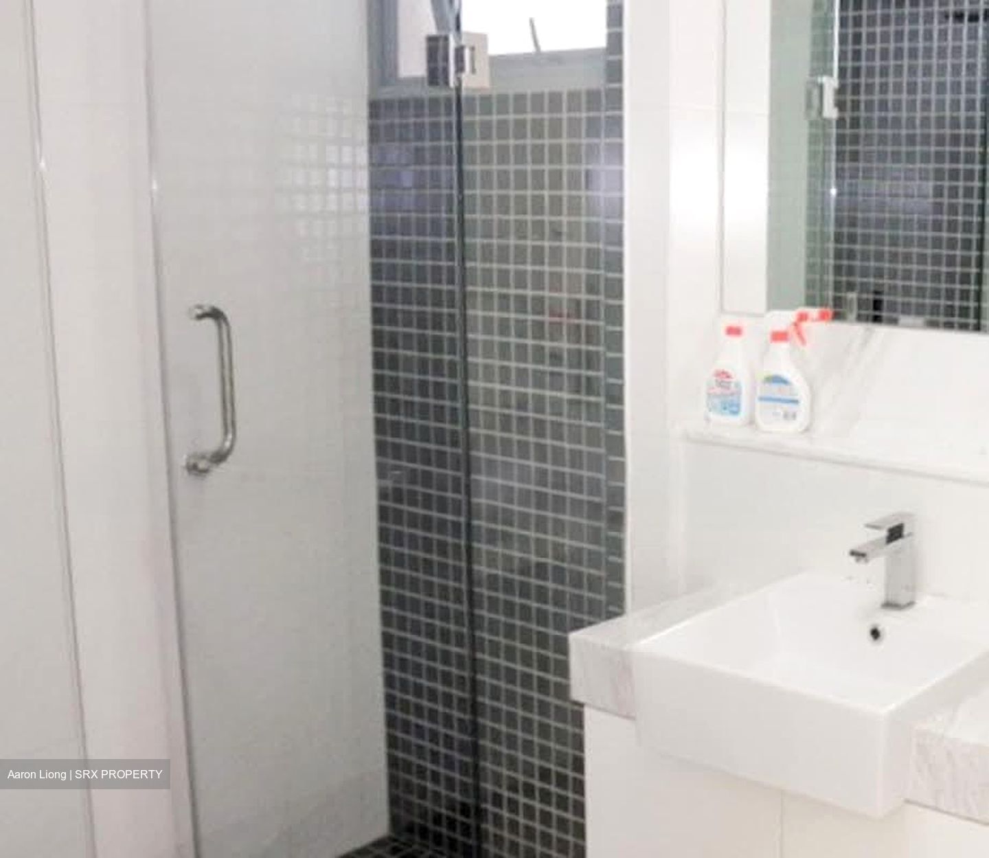 Ferraria Park Condominium (D17), Condominium #566302101
